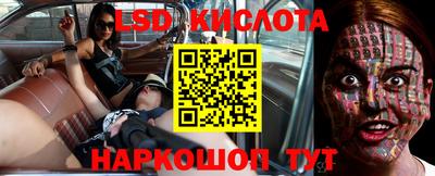 spice Заволжье